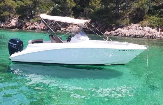 Motorboat REMUS 620 150hp