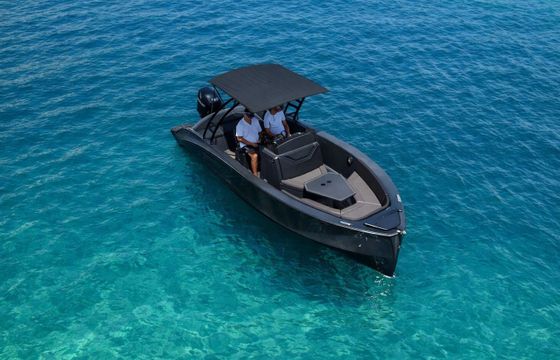 Motorboat PRMOTOR PROMOTOR 600S 100hp