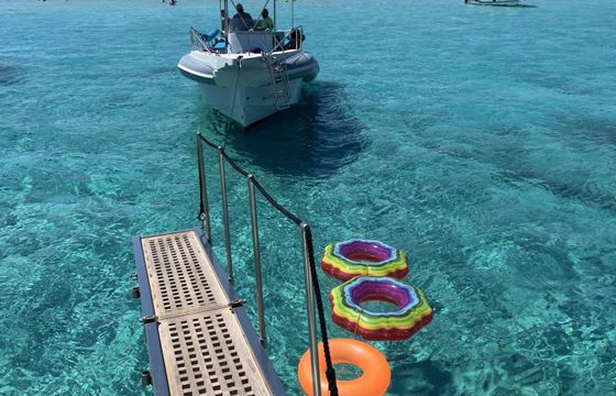 Motor yacht Falcon Yachts 76 870hp