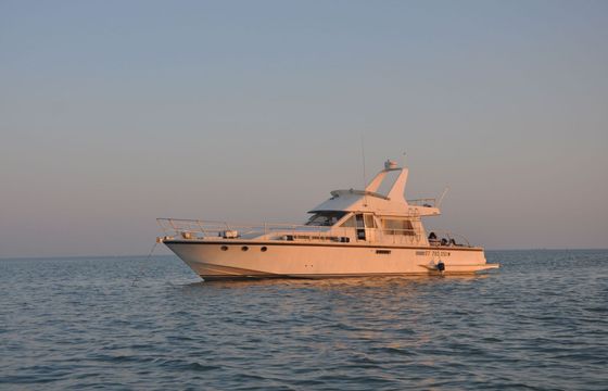 Motor yacht Guy Couach 1400 Fly 480hp