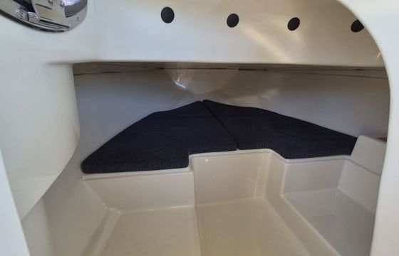 Motorboat T.A.Mare Flame 150hp