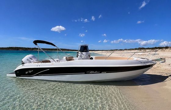 Motorboat Blumax S.R.L. Bluline 21 230hp