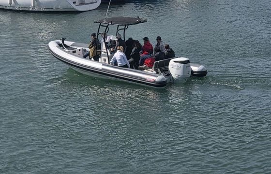 RIB SEARIB's Searib's 7.60 250hp
