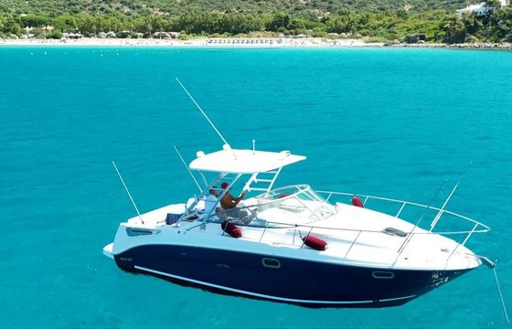 Motorboat Sea Ray 290 Amberjack 600hp