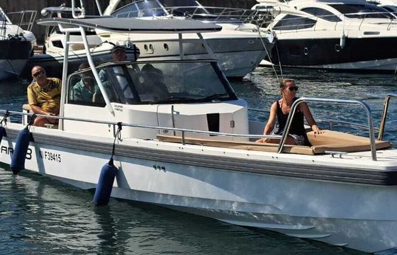 Motorboat AXOPAR TTOP 28 300hp