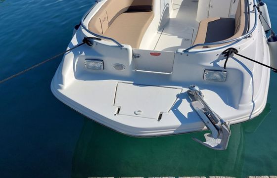 Motorboat Sea Ray Sundeck 240 260hp