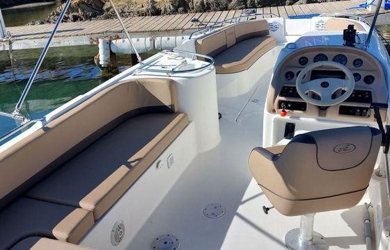 Motorboat Sea Ray Sundeck 240 260hp