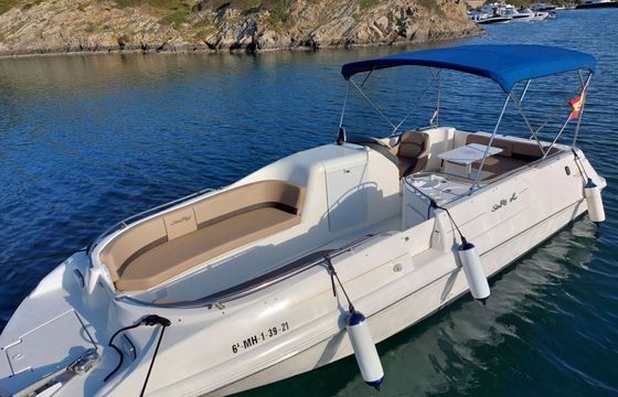 Motorboat Sea Ray Sundeck 240 260hp
