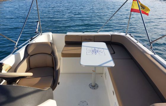 Motorboat Sea Ray Sundeck 240 260hp