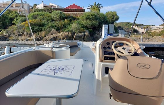 Motorboat Sea Ray Sundeck 240 260hp