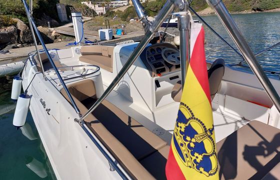 Motorboat Sea Ray Sundeck 240 260hp
