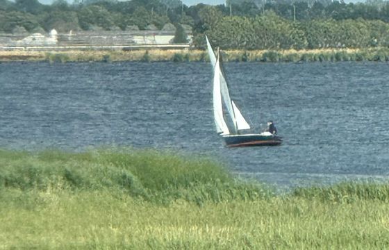 Sailboat Polyvalk Polyvalk 6.65m