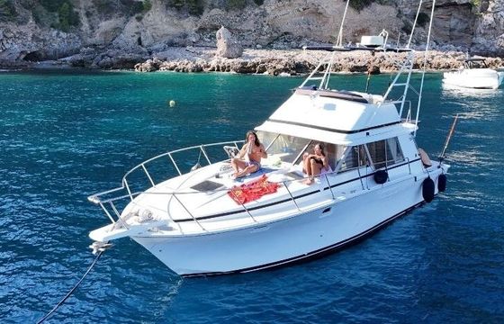 Motorboat Bertram C37 480hp
