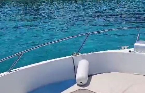 Motorboat Quicksilver Commander 630 150hp