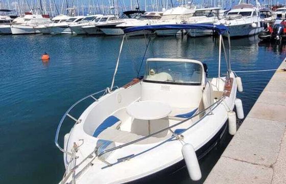 Motorboat Quicksilver Commander 630 150hp