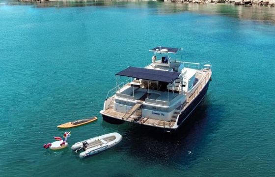 Motorboat LAGOON 43 POWER 580hp