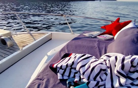 Motorboat Wellcraft Phyton 24 Coast 275hp