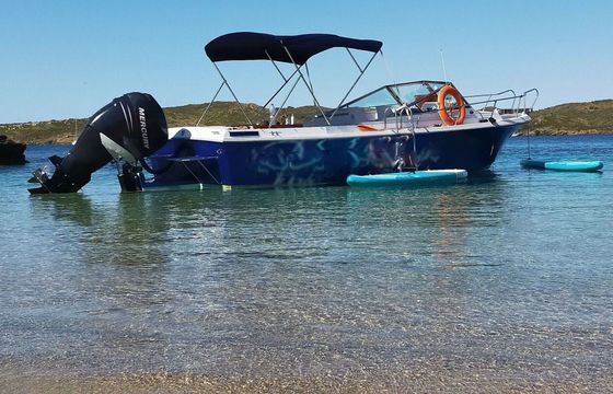 Motorboat Wellcraft Phyton 24 Coast 275hp