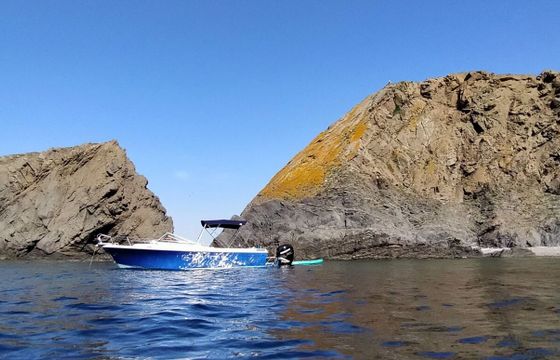 Motorboat Wellcraft Phyton 24 Coast 275hp
