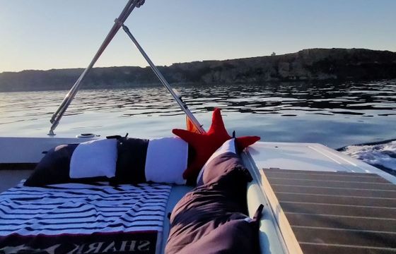 Motorboat Wellcraft Phyton 24 Coast 275hp