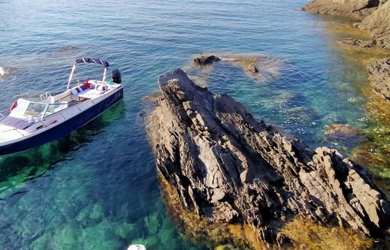 Motorboat Wellcraft Phyton 24 Coast 275hp