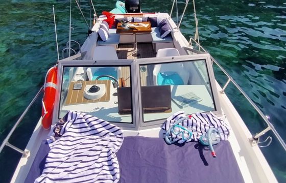 Motorboat Wellcraft Phyton 24 Coast 275hp
