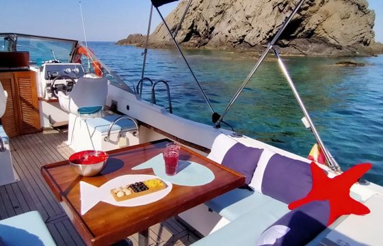 Motorboat Wellcraft Phyton 24 Coast 275hp