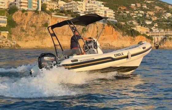 RIB Eagle Boats Eagle 40hp