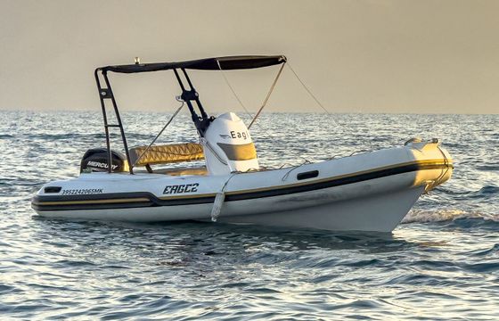 RIB Eagle Boats Eagle 40hp
