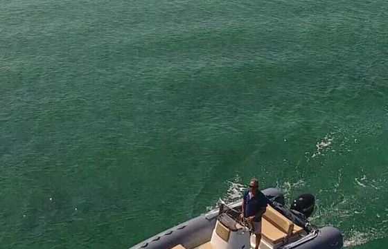RIB BWA 5.50 MT 40hp