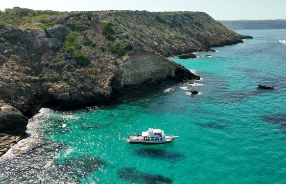Motorboat Astillero Palma (Baleares) MWM Diter Tipo TD229/4 139hp