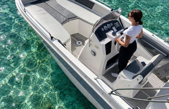 Motorboat ALIMED ALI-III 150hp
