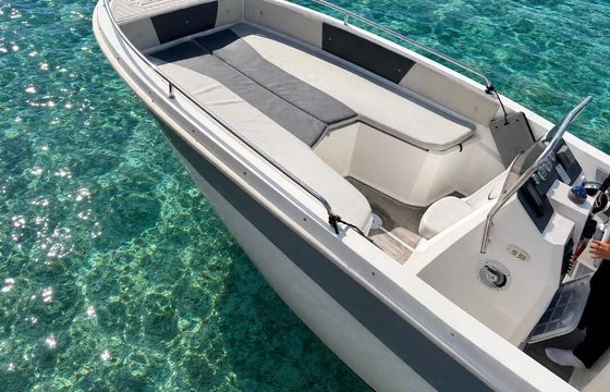Motorboat ALIMED ALI-III 150hp