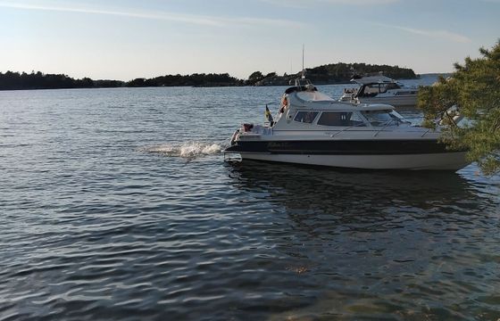 Motorboat Bella Falcon Fantino 26 220hp