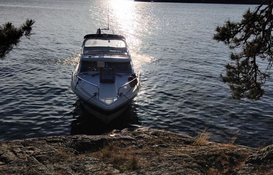 Motorboat Bella Falcon Fantino 26 220hp