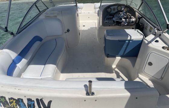 Motorboat hurricane sundeck 250hp