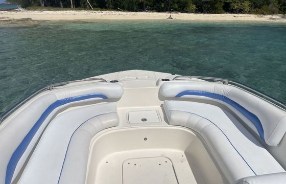 Motorboat hurricane sundeck 250hp