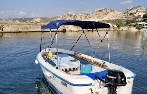 Motorboat Quicksilver Quicksilver 410 fish