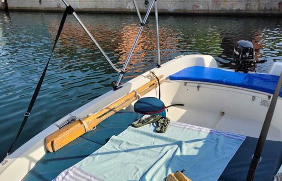 Motorboat Quicksilver Quicksilver 410 fish