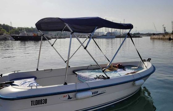 Motorboat Quicksilver Quicksilver 410 fish