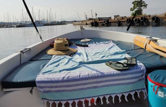 Motorboat Quicksilver Quicksilver 410 fish