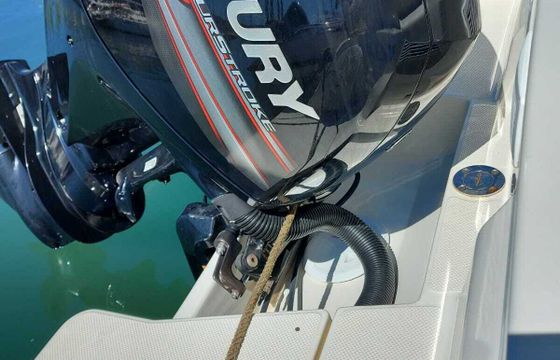 Motorboat Quicksilver Activ 605 Open 115hp