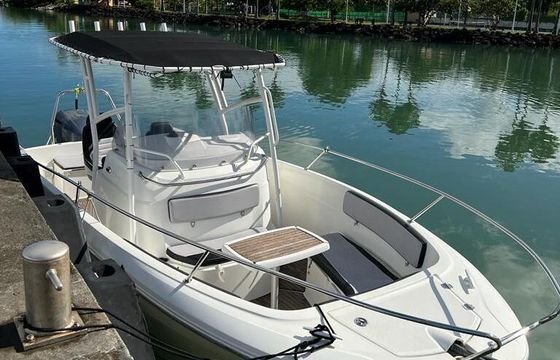 Motorboat Jeanneau Cap Camarat 7.5 Cc 250hp
