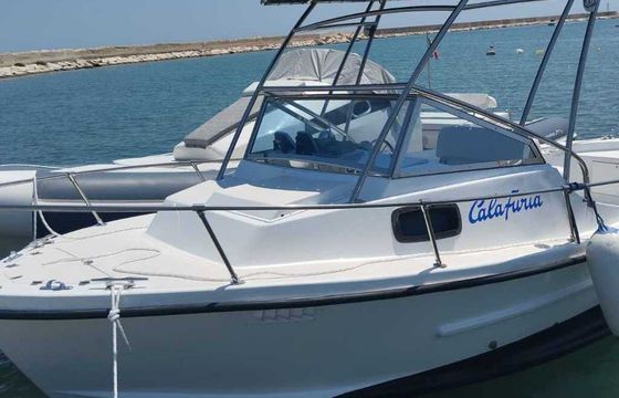 Motorboat Cantiere del sud catarsi 7mt 150hp