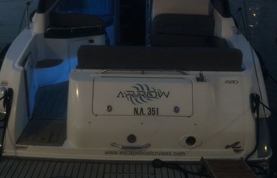 Motorboat Sea Ray 290 sun dancer 540hp