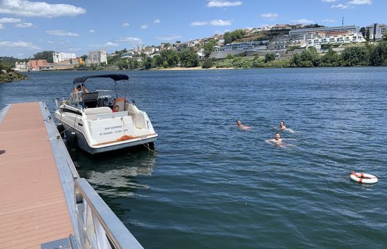 Motorboat Bayliner Ciera 24 230hp