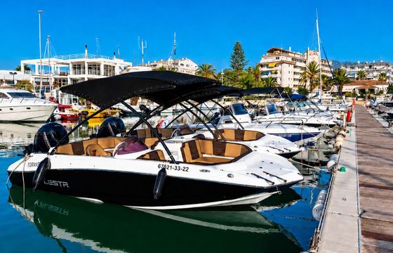 Motorboat ALESTA SEAMAX 620 150hp
