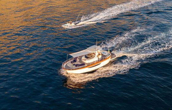 Motorboat Portofino Tour Privato 10 ore 250hp