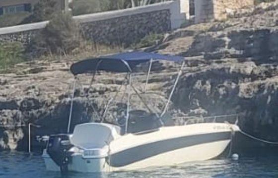 Boat without licence  LANCHA REMUS 450 15hp