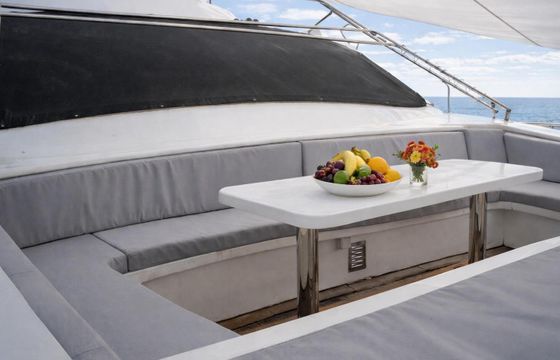 Motor yacht Custom Built Luxury Trawler Capaciy of 8 people